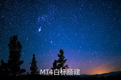 稅務(wù)系統(tǒng)為什么進(jìn)行容災(zāi)建設(shè)，小微企業(yè)該購買什么樣的服務(wù)器涉及生產(chǎn)倉儲銷售和財(cái)務(wù)等  搜