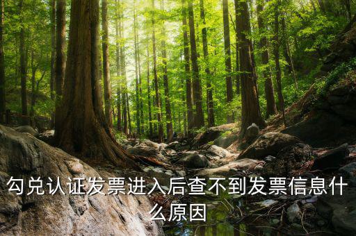 發(fā)票查詢?yōu)槭裁床椴坏叫畔?，發(fā)票開了稅務(wù)局上查不到信息是怎么回事