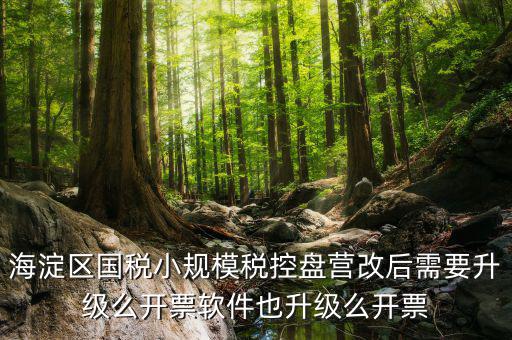 稅控盤為什么要升級(jí)，稅控盤鎖了找稅務(wù)專管員處理了說拿回來要升級(jí)一下怎么升級(jí)