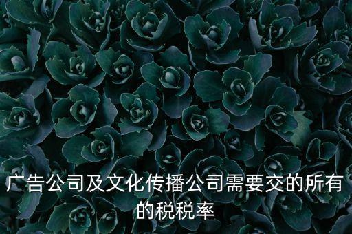 廣告公司需要交什么稅，廣告公司及文化傳播公司需要交的所有的稅稅率