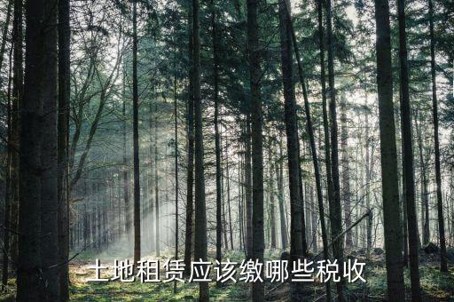 單獨出租土地交什么稅，個人租用農(nóng)民土地交什么稅