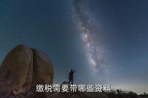 稅務(wù)局交稅都帶什么資料，去稅務(wù)局申報納稅要帶什么資料 新手