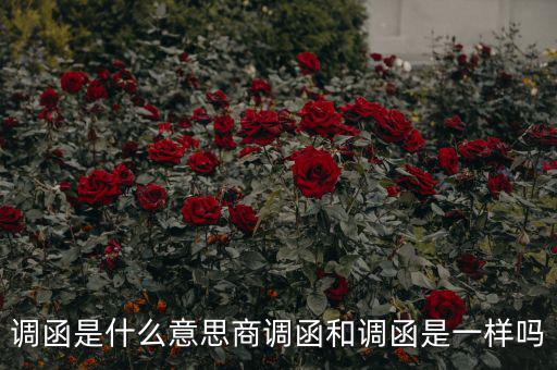 國(guó)稅調(diào)函是什么意思，國(guó)稅要來函條是怎么回事啊