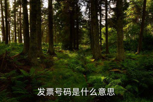 發(fā)票上什么是發(fā)票號碼嗎，普通增值稅發(fā)票上發(fā)票編號是哪一個(gè)