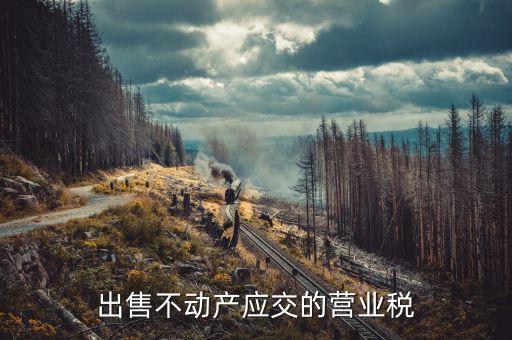企業(yè)出售不動產(chǎn)繳納什么稅，13企業(yè)銷售不動產(chǎn)應(yīng)交納什么稅
