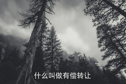 有償轉(zhuǎn)移安置什么意思，有償轉(zhuǎn)發(fā)什么意思