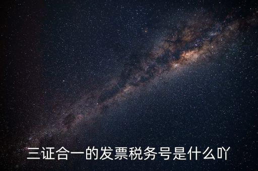 三證合一以后稅號是什么，三證合一的發(fā)票稅務(wù)號是什么吖