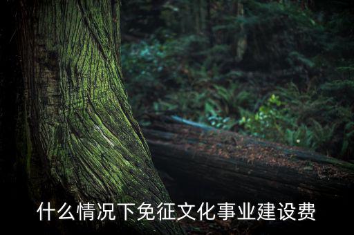 什么叫文化建設(shè)費，文化建設(shè)事業(yè)費