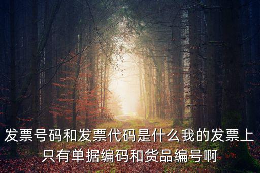 發(fā)票代碼指什么地方，增值稅普通發(fā)票的12位發(fā)票代碼在什么位置