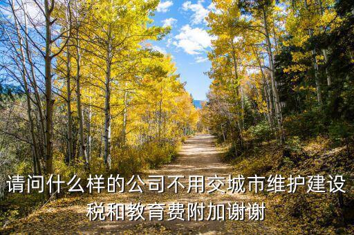 什么情況不交城建稅，什么時(shí)候不需要交納營(yíng)業(yè)稅城建稅及附加
