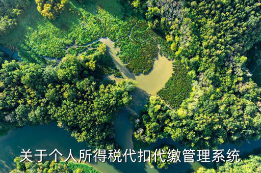 個(gè)人征稅系統(tǒng)是什么意思，關(guān)于個(gè)人所得稅代扣代繳管理系統(tǒng)