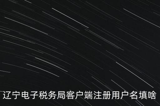 網(wǎng)上辦稅帳號(hào)是什么，登錄國稅網(wǎng)上辦稅服務(wù)廳的用戶名和密碼是什么