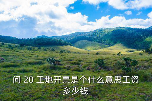 開(kāi)票界面是指什么意思，會(huì)計(jì)的開(kāi)票是什么意思