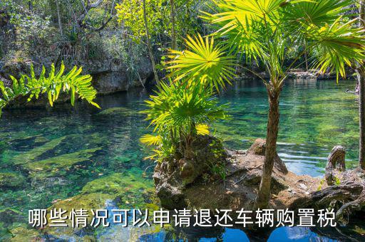 哪些情況可以申請(qǐng)退還車輛購置稅