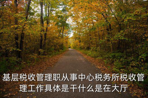 稅源管理干什么，基層稅收管理職從事中心稅務(wù)所稅收管理工作具體是干什么是在大廳