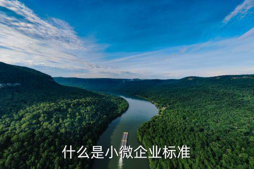 什么是小型微利企業(yè)標準，微小型企業(yè)的標準是什么