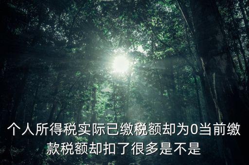 實繳稅額為什么是0，當期的實交增值稅額為0是否進行城建稅的申報什么意思可以不用申報