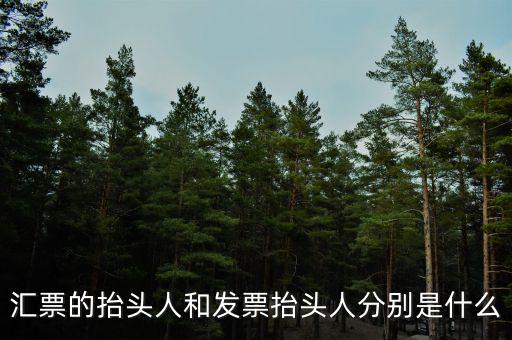 發(fā)票司稱人什么意思，匯票的抬頭人和發(fā)票抬頭人分別是什么