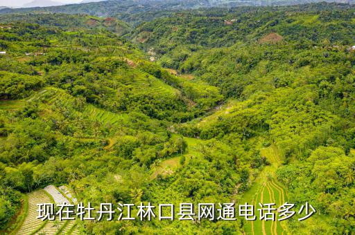 林口縣稅務(wù)局電話號碼是什么，現(xiàn)在牡丹江林口縣網(wǎng)通電話多少