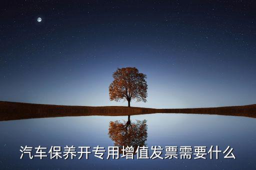 保險開專票需要什么，開增值票項目只開總一項行嗎保險公司要求開專票說要么按實際