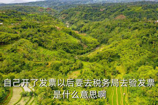 驗(yàn)證發(fā)票是什么意思啊，請(qǐng)問(wèn)發(fā)票認(rèn)證是什么意思