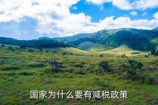 減稅政策是什么，有誰(shuí)知道國(guó)家對(duì)企業(yè)的減稅政策