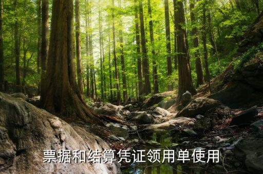 發(fā)票領(lǐng)用單是什么，發(fā)票領(lǐng)用存是什么意思