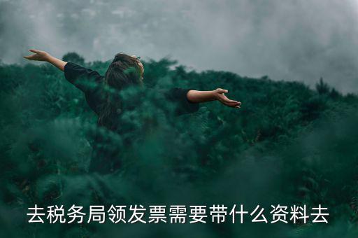 領電子發(fā)票需要帶什么資料，去稅務局領發(fā)票需要帶什么資料去