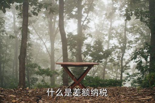 什么是開票差額，火車票差額票款是什么