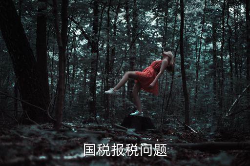 國稅報(bào)稅問題