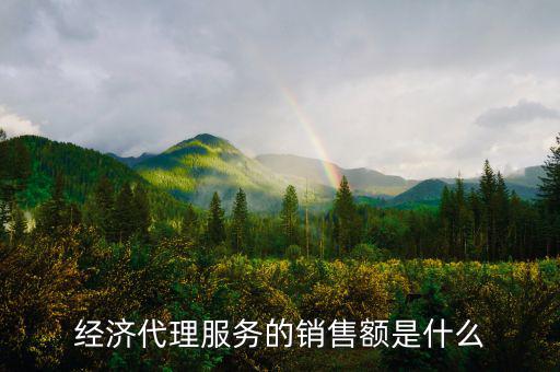 什么是經濟代理，請問什么叫經濟合同代理人