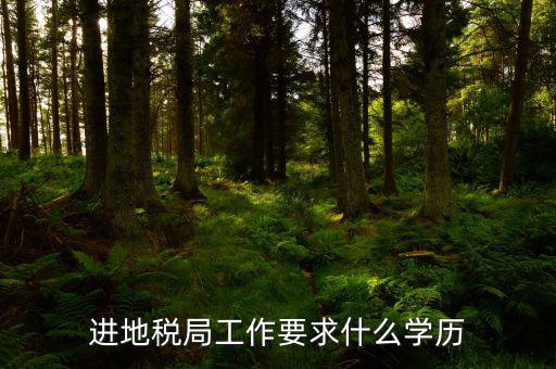 地稅上班要會什么最低學歷，要去地稅局上班都要學些什么啊