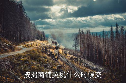 商鋪?zhàn)赓U稅什么時(shí)候交，租賃店鋪一般首次需要繳納幾個(gè)月的租金