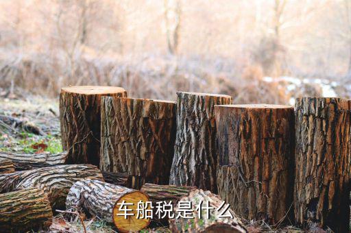 保險的車船稅是什么意思，車船稅是什么