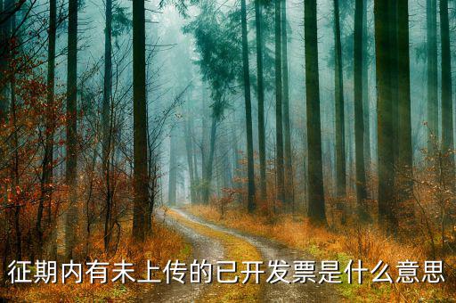 發(fā)票征期什么意思，征期內(nèi)有未上傳的已開發(fā)票是什么意思