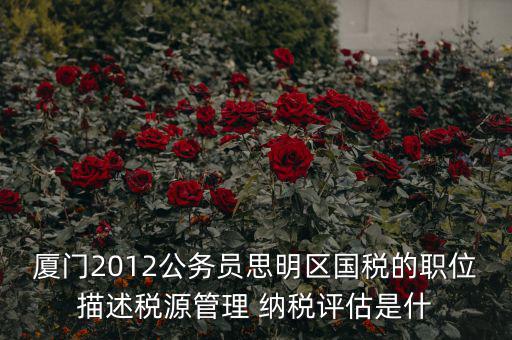 廈門2012公務員思明區(qū)國稅的職位描述稅源管理 納稅評估是什