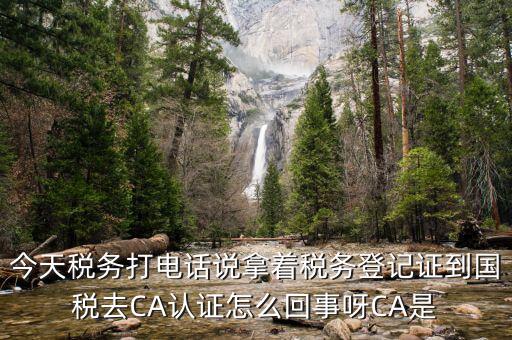 報稅用的ca是什么，今天稅務(wù)打電話說拿著稅務(wù)登記證到國稅去CA認(rèn)證怎么回事呀CA是