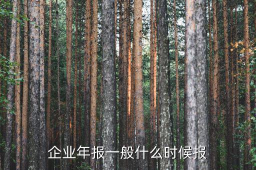 財(cái)務(wù)年報(bào)什么時(shí)候報(bào)，企業(yè)財(cái)務(wù)會(huì)計(jì)報(bào)告什么時(shí)間出具