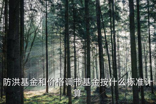 防洪基金是什么，防洪基金屬于什么科目