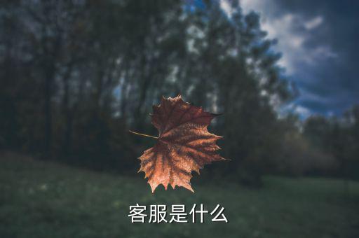 gs客服是什么，客服是什么