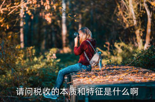 稅收產(chǎn)生的條件是什么意思，簡述稅收的特征及法律關系的構成