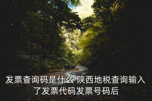 發(fā)票查詢(xún)碼是什么 陜西地稅查詢(xún)輸入了發(fā)票代碼發(fā)票號(hào)碼后