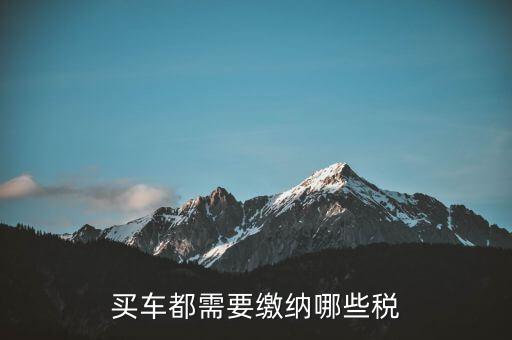 車輛納稅需要什么意思，車輛上路需要交什么稅