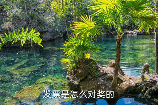 有獎(jiǎng)發(fā)票是什么，天津有獎(jiǎng)發(fā)票二次開獎(jiǎng)日期查詢方法