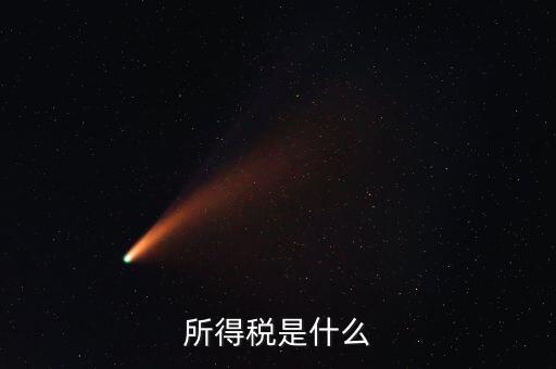 所得稅支出是什么，所得稅是什么