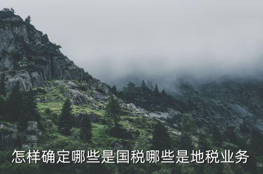 業(yè)務地稅是什么，地稅申報中業(yè)務種類是什么