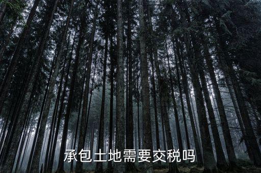 土地承包費征什么稅，我公司承包一農(nóng)民的土地承包期限至該農(nóng)民包地期限為止請問我公