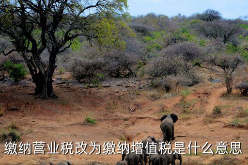 營業(yè)稅改為增值稅是什么意思，營業(yè)稅改增值稅指的是什么