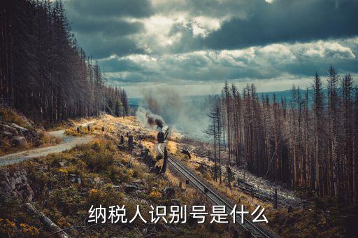 稅務(wù)人識(shí)別號(hào)是什么，稅納人識(shí)別號(hào)是什么東東