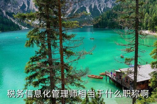 稅務(wù)信息化管理師是什么，稅務(wù)信息化管理師證有什么意義么